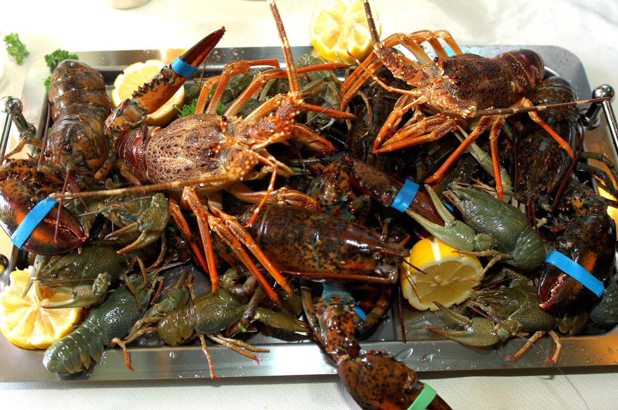 Royal Hotel-Restaurant Bonhomme Sougne-Remouchamps Ngoại thất bức ảnh